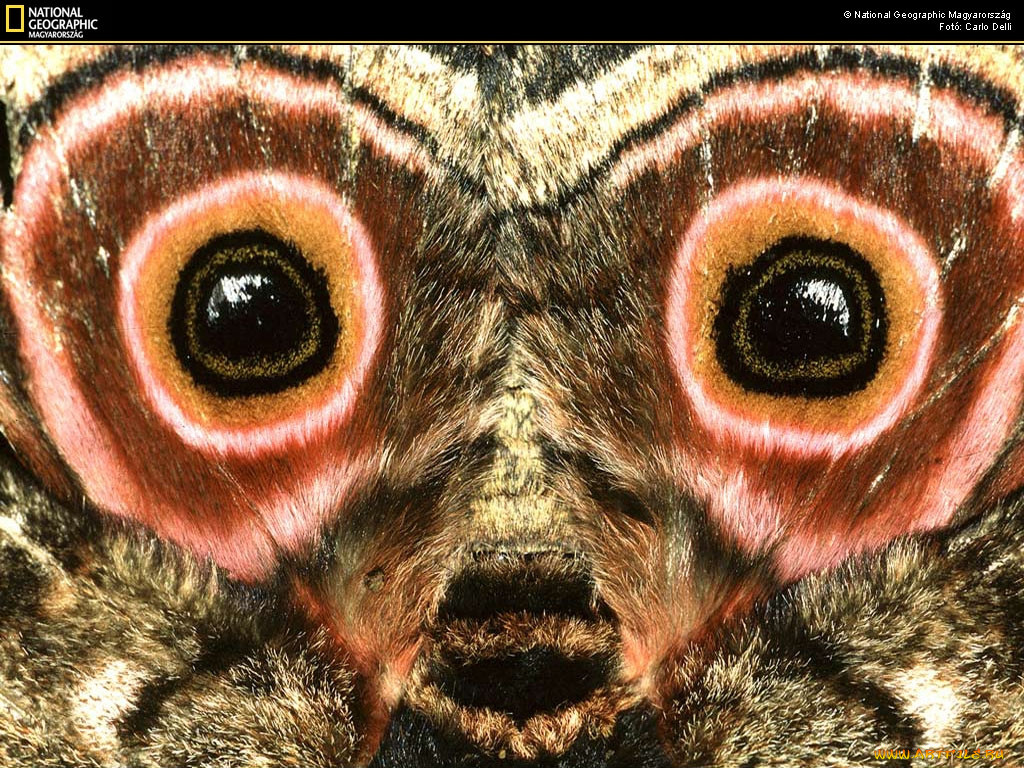 , 